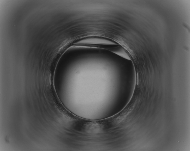 X0000091980253200709131417