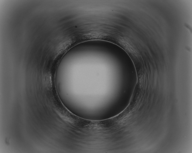 X0000091980254200709131417