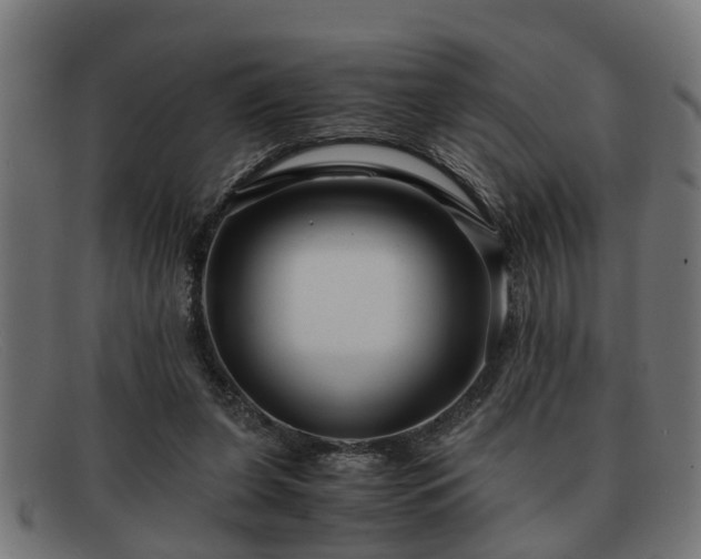 X0000091980255200709131417