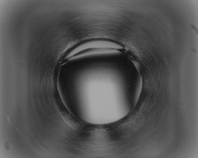 X0000091980256200709131417