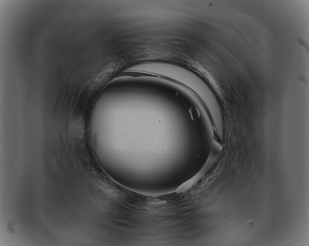 X0000091980257200709131417