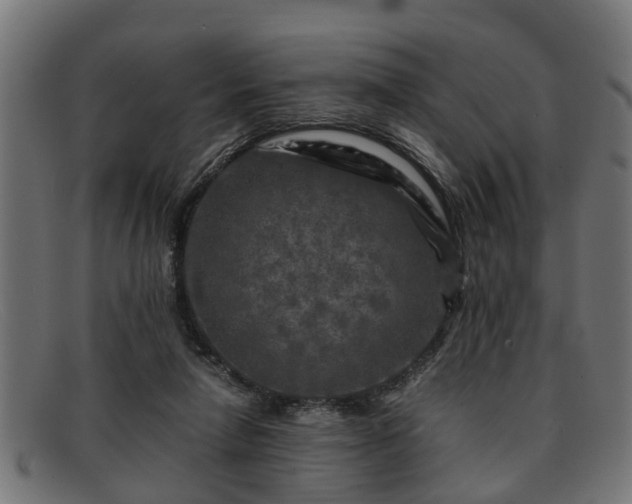 X0000091980258200709131417