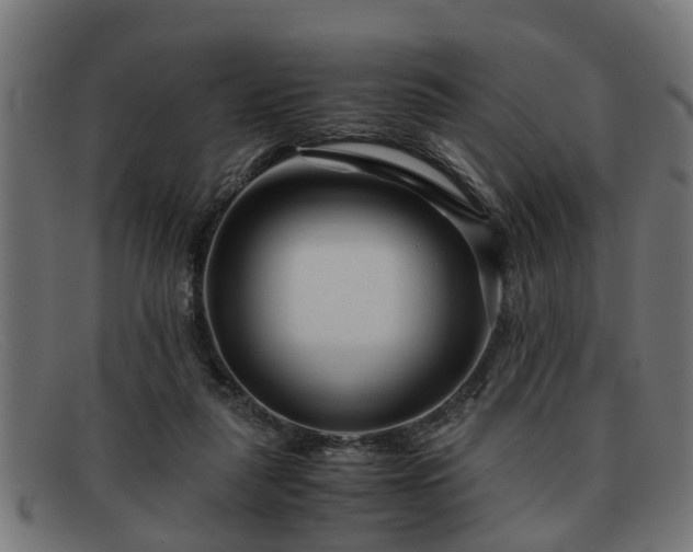 X0000091980259200709131417