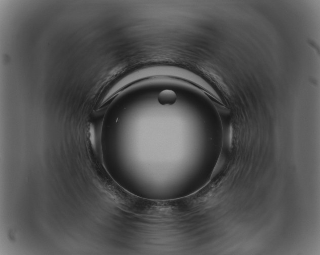 X0000091980260200709131417