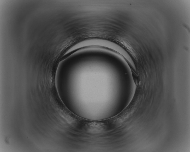 X0000091980261200709131417