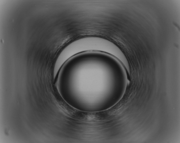 X0000091980264200709131417