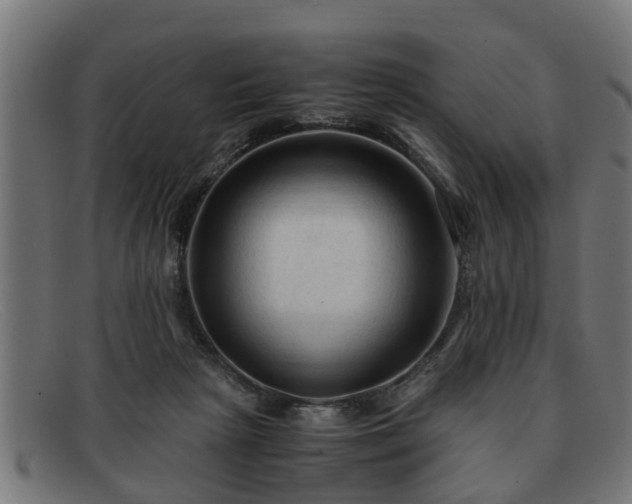 X0000091980265200709131417