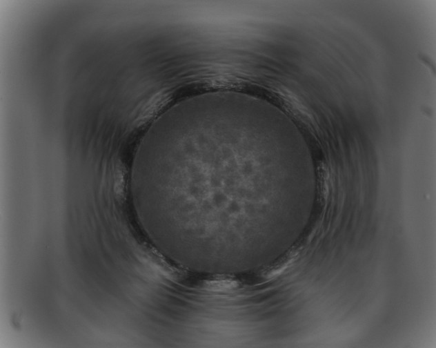 X0000091980266200709131417