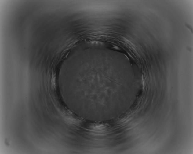 X0000091980267200709131417