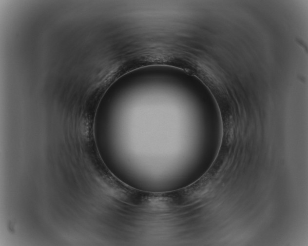 X0000091980268200709131417