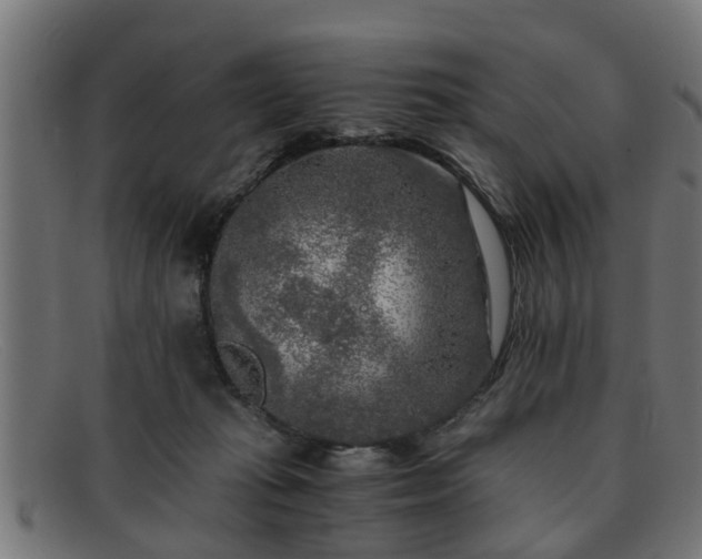 X0000091980269200709131417