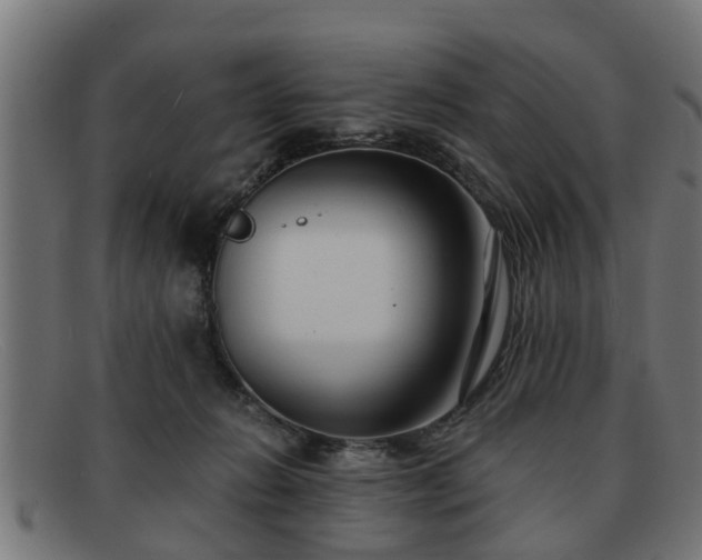 X0000091980270200709131417