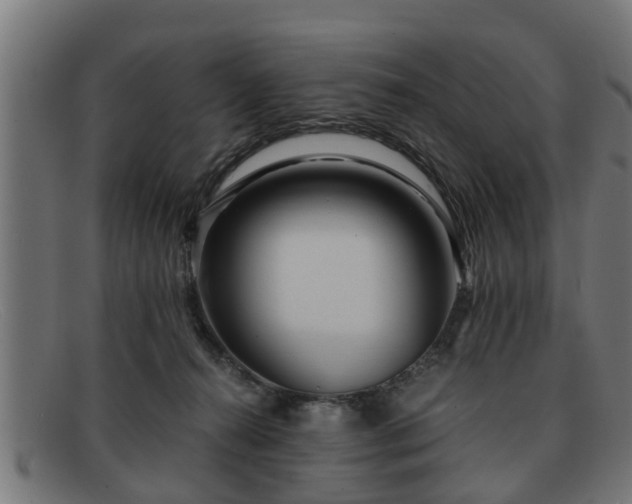 X0000091980272200709131417