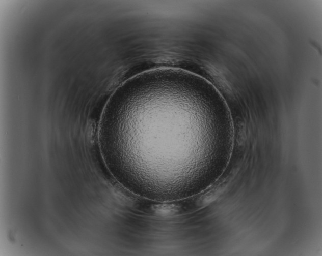 X0000091980273200709131417