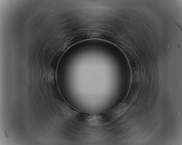 X0000091980274200709131418