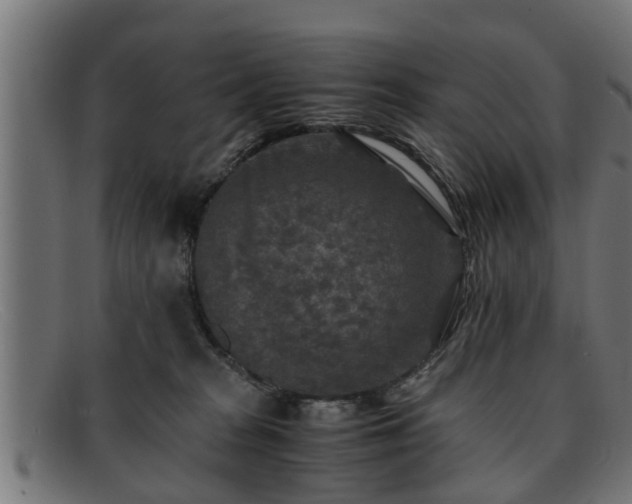 X0000091980277200709131418