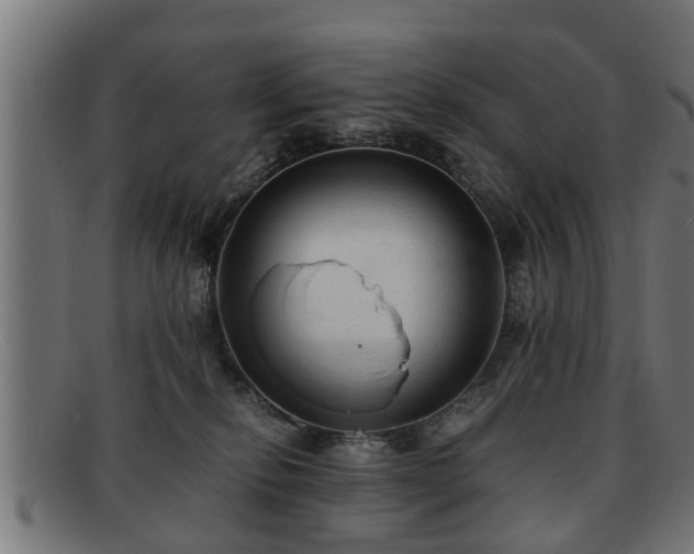 X0000091980278200709131418