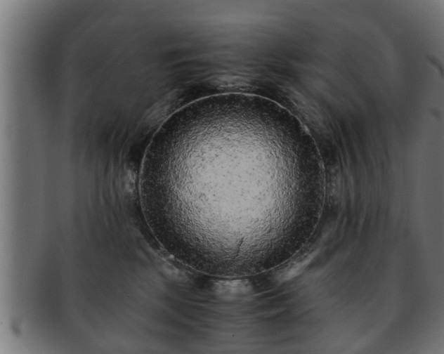 X0000091980281200709131418