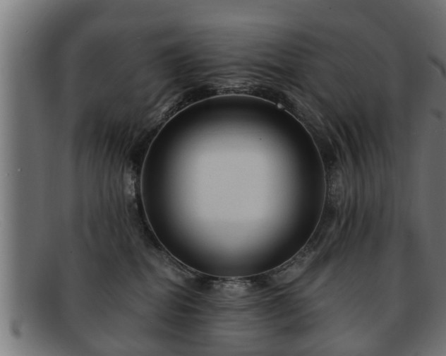 X0000091980282200709131418