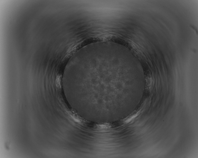 X0000091980286200709131418