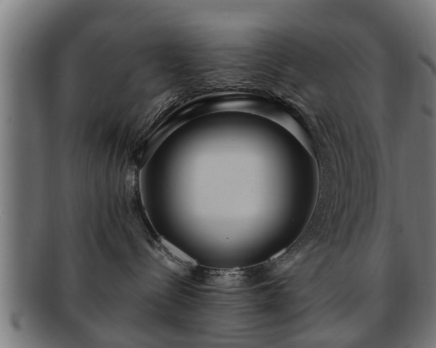 X0000091980288200709131418