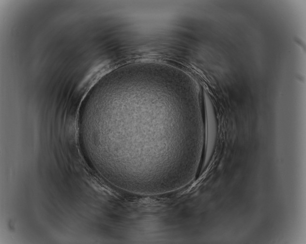 X0000091980290200709131417