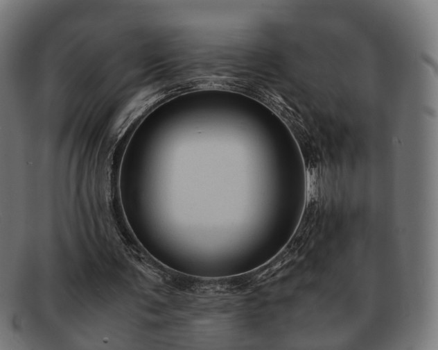 X0000091980291200709131417