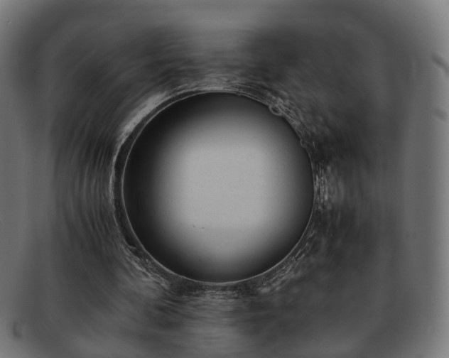 X0000091980292200709131417