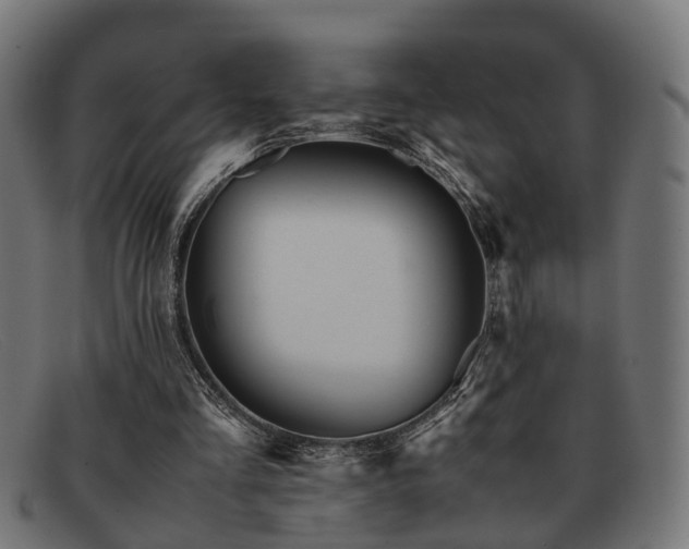 X0000091980293200709131417