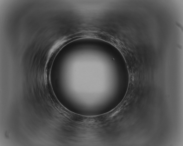 X0000091980294200709131417