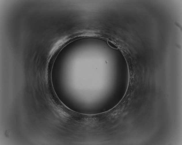 X0000091980296200709131417