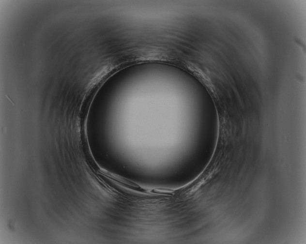 X0000091980298200709131417