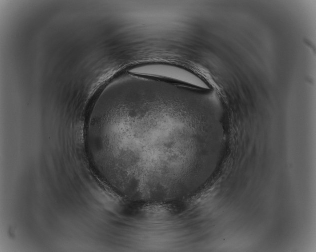 X0000091980299200709131417