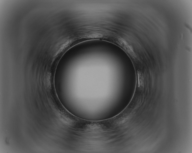 X0000091980300200709131417