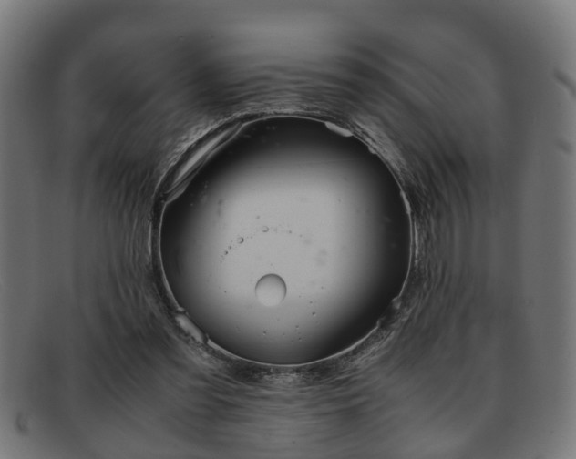 X0000091980301200709131417