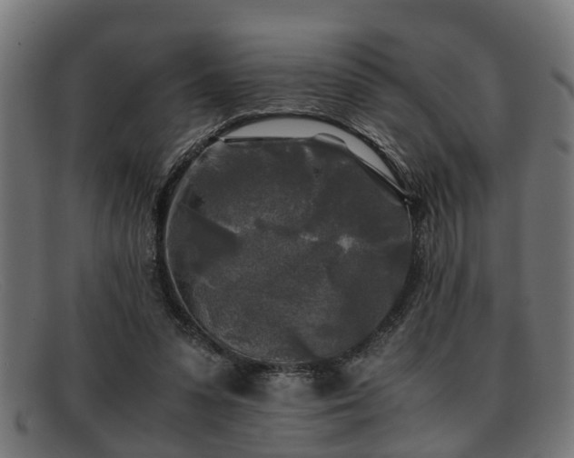 X0000091980303200709131417