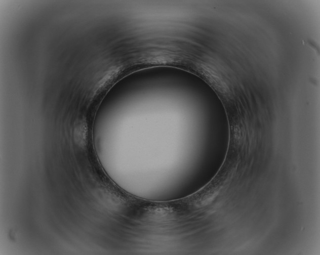 X0000091980304200709131417