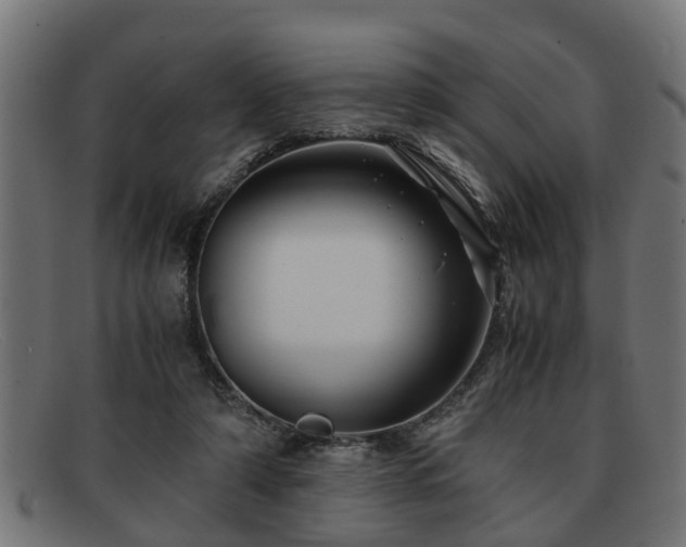 X0000091980306200709131417