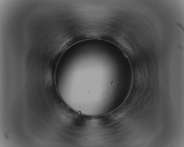 X0000091980312200709131417