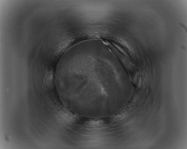 X0000091980314200709131417