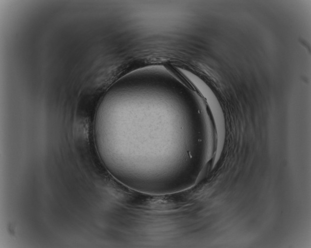 X0000091980315200709131417