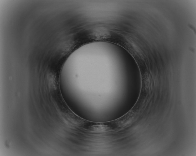 X0000091980316200709131417