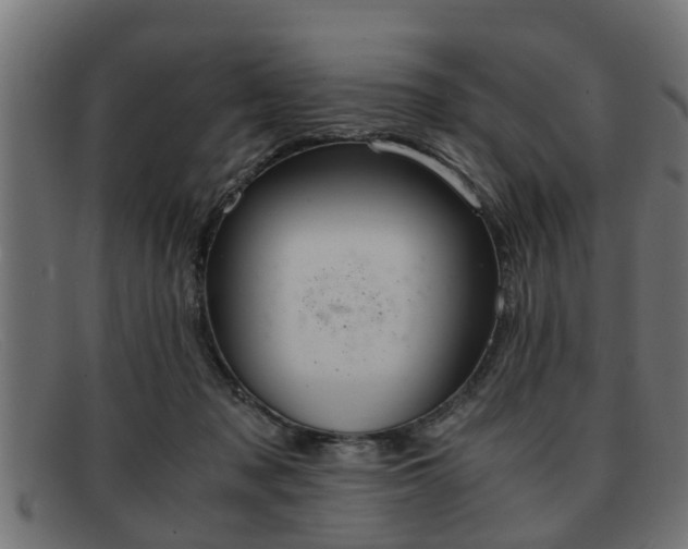 X0000091980317200709131417