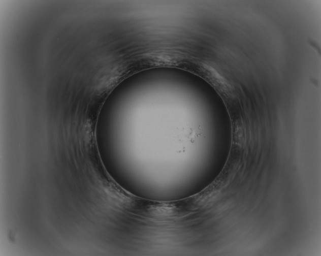 X0000091980318200709131417