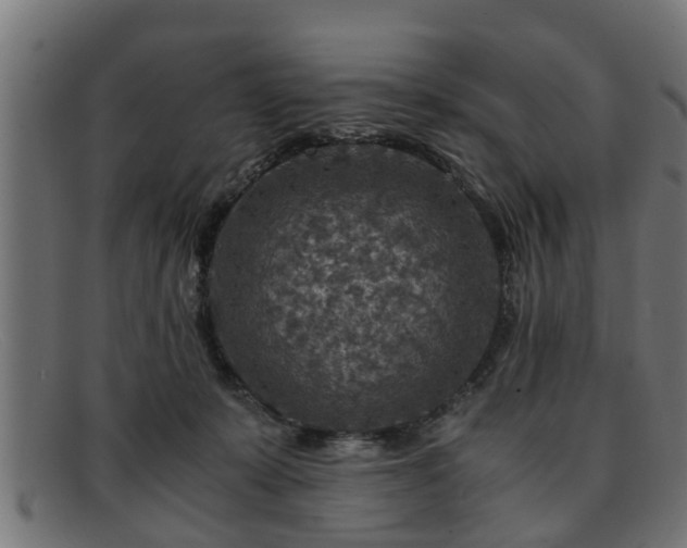 X0000091980319200709131417