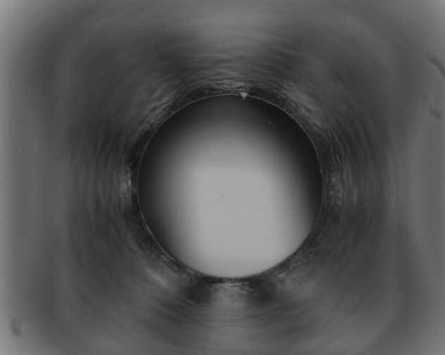 X0000091980320200709131417