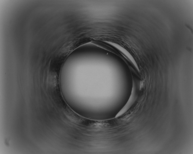 X0000091980323200709131417