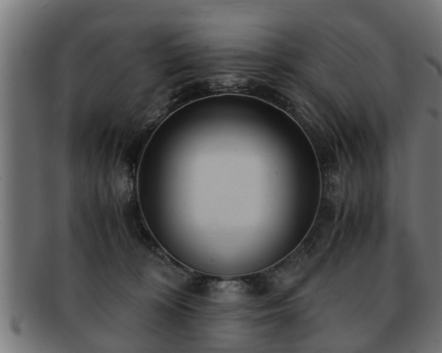 X0000091980324200709131417