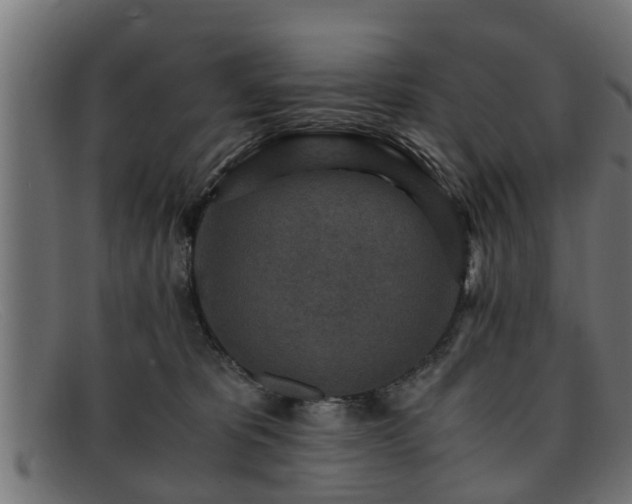 X0000091980325200709131417