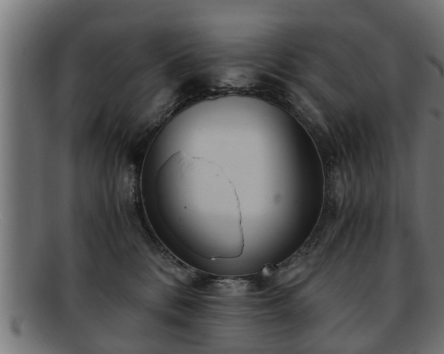 X0000091980328200709131417